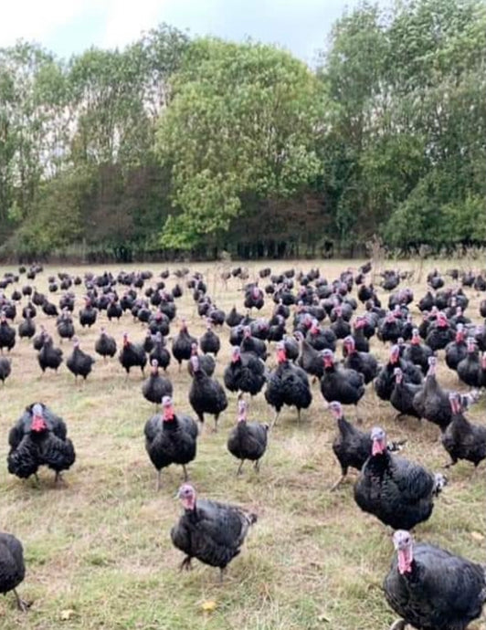 Valley Farm Fresh Turkeys